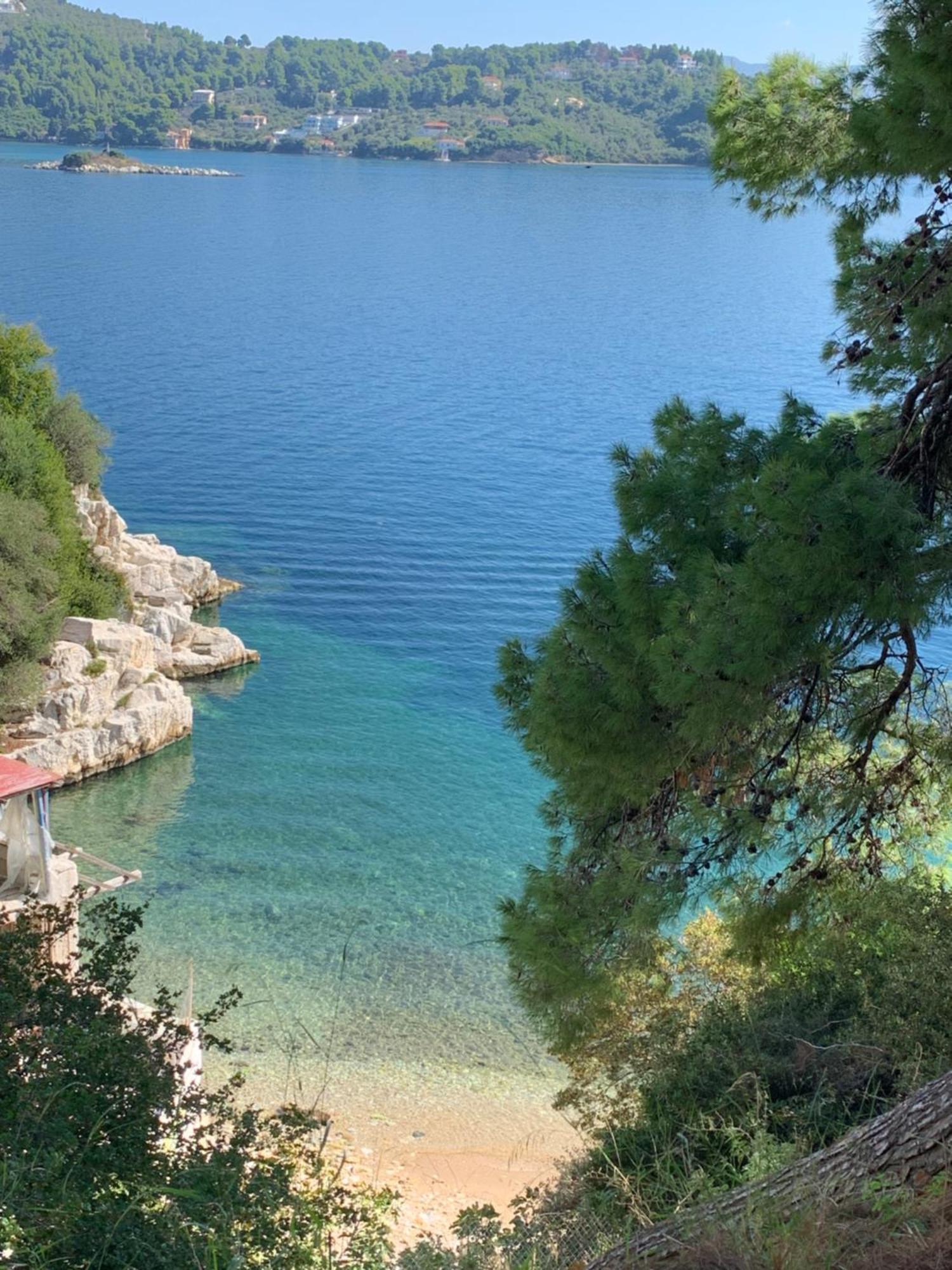 Okeanos Apartment Skiathos Town Luaran gambar